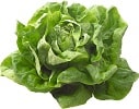 Salat